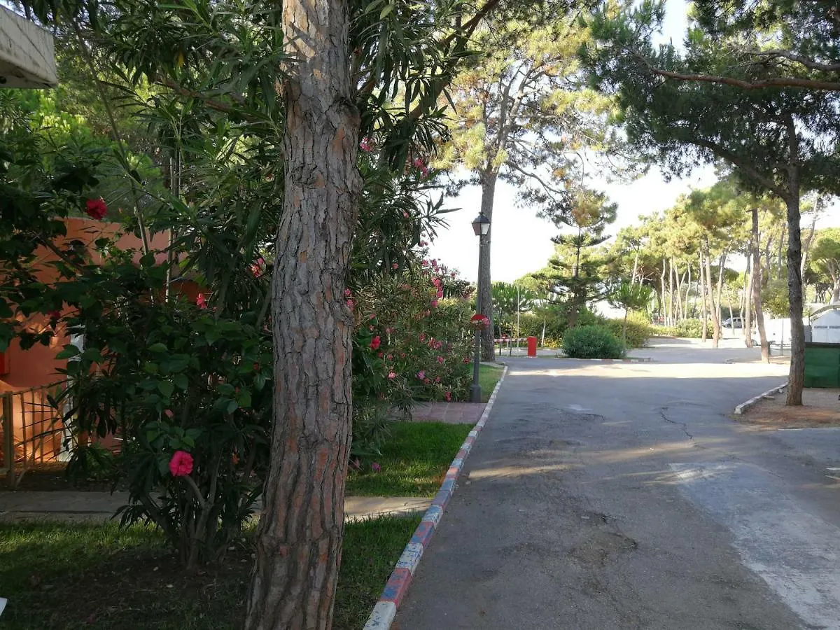Camping La Buganvilla Marbella