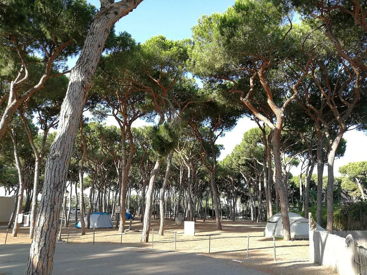 Camping La Buganvilla Marbella 2*,