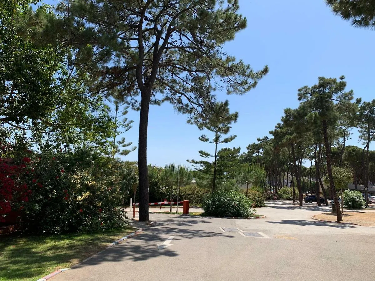 ** Campsite Camping La Buganvilla Marbella Spain